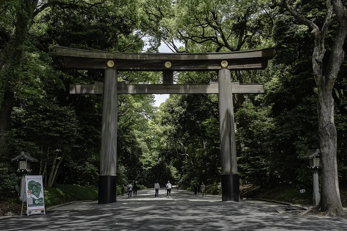 Tokyo Full Day Tour