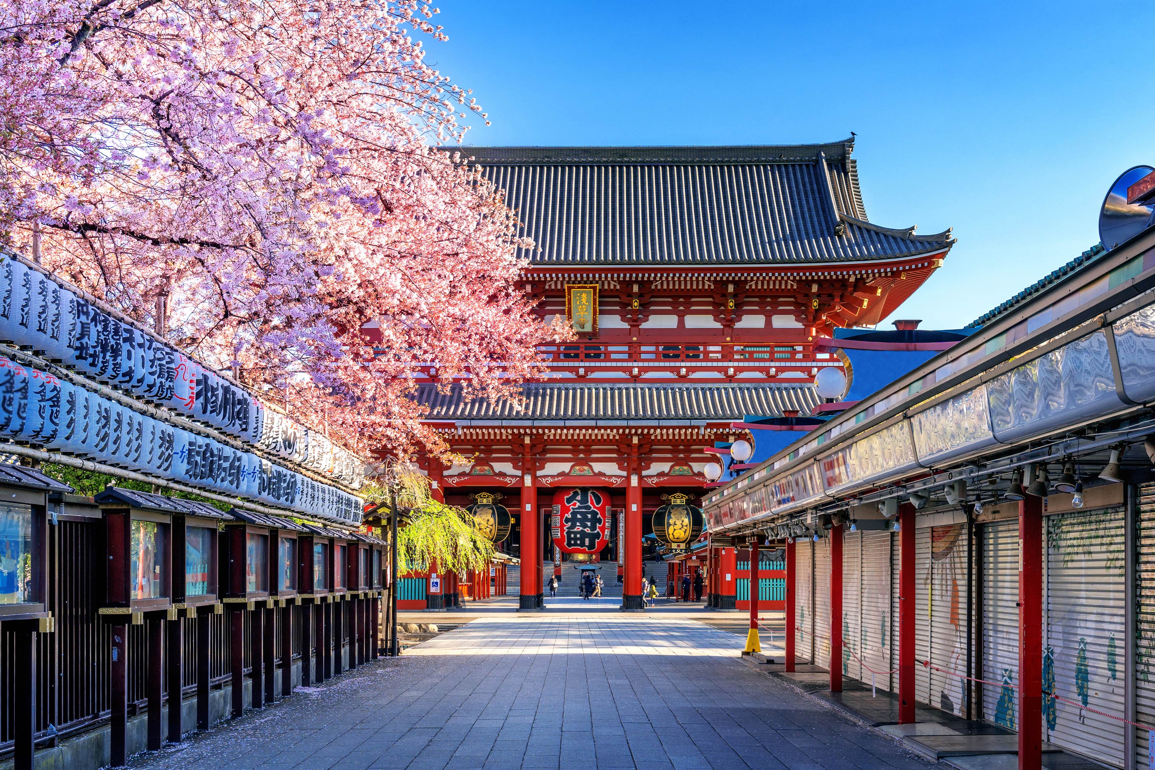 Tokyo Full Day Tour